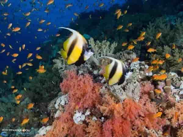 Thumbnail 6 Thumbnail 6