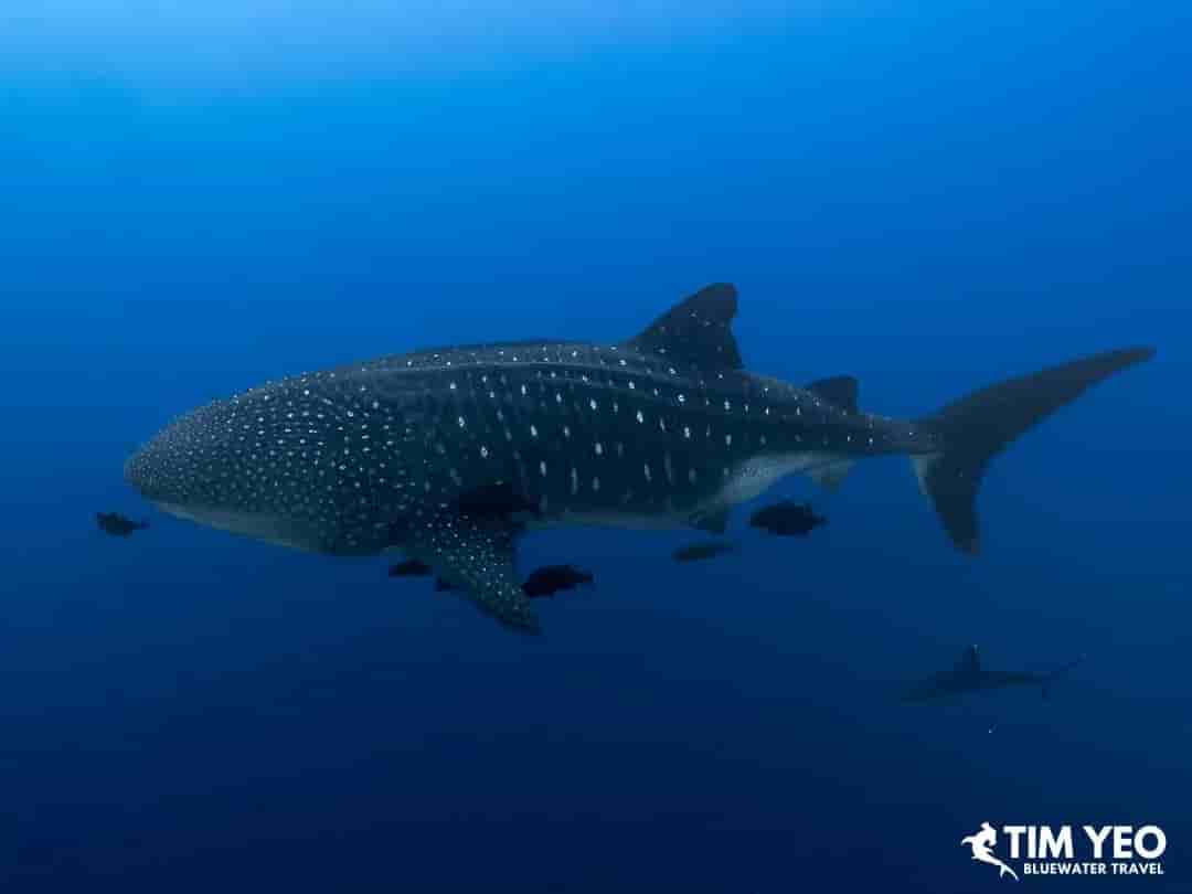 Thumbnail 4 Thumbnail 4