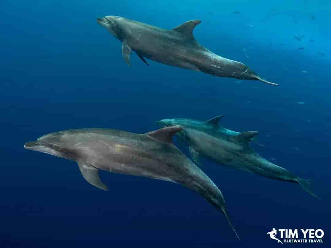 Thumbnail 5 Thumbnail 5