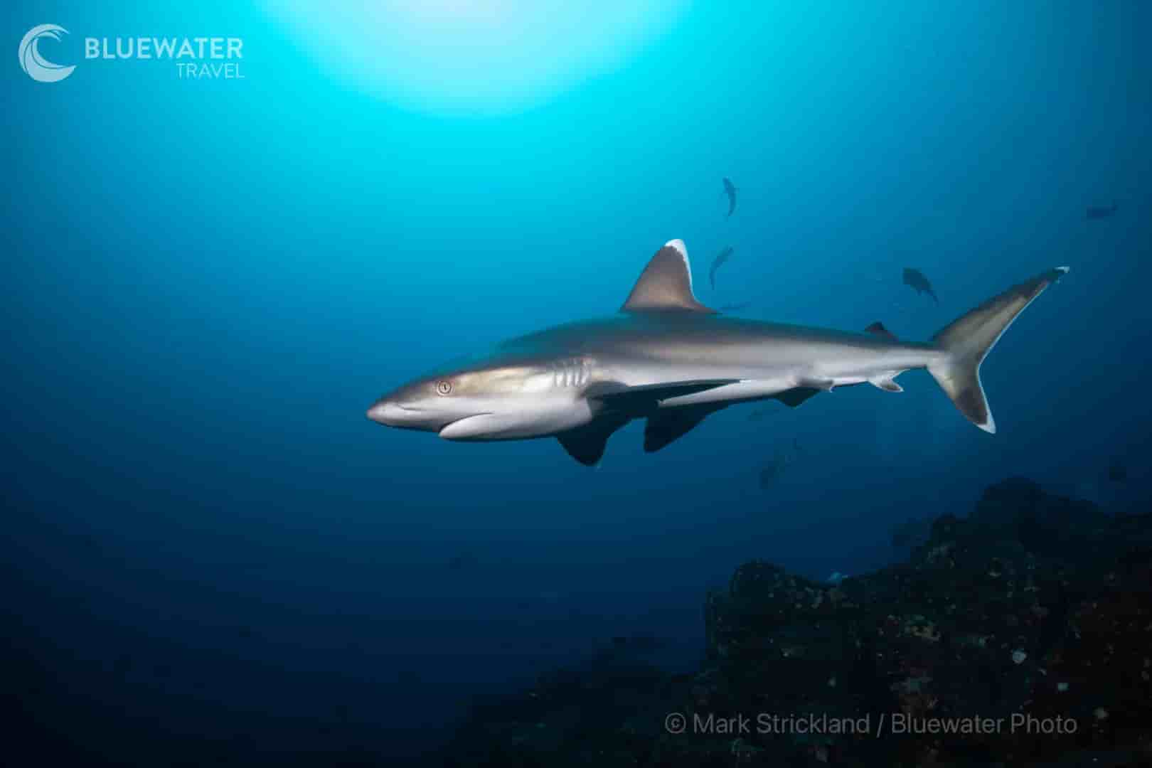 Thumbnail 8 Thumbnail 8