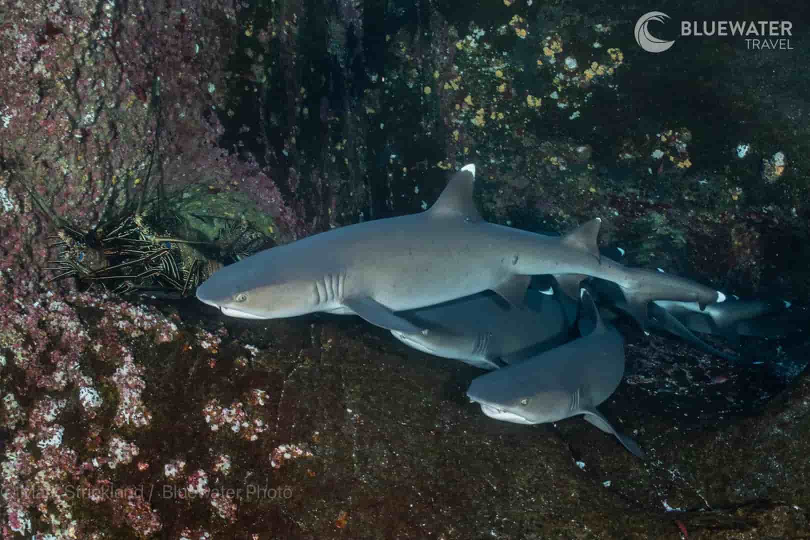 Thumbnail 10 Thumbnail 10