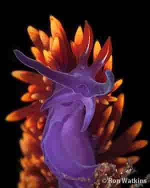 Thumbnail 6 Thumbnail 6