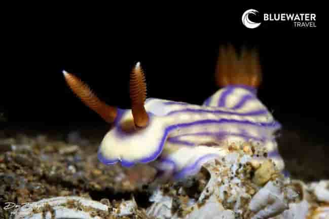 Thumbnail 1 Thumbnail 1