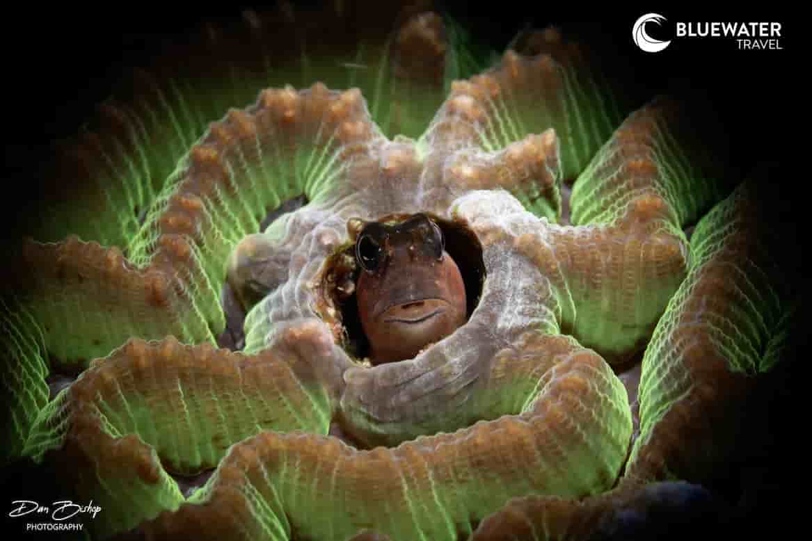 Thumbnail 3 Thumbnail 3