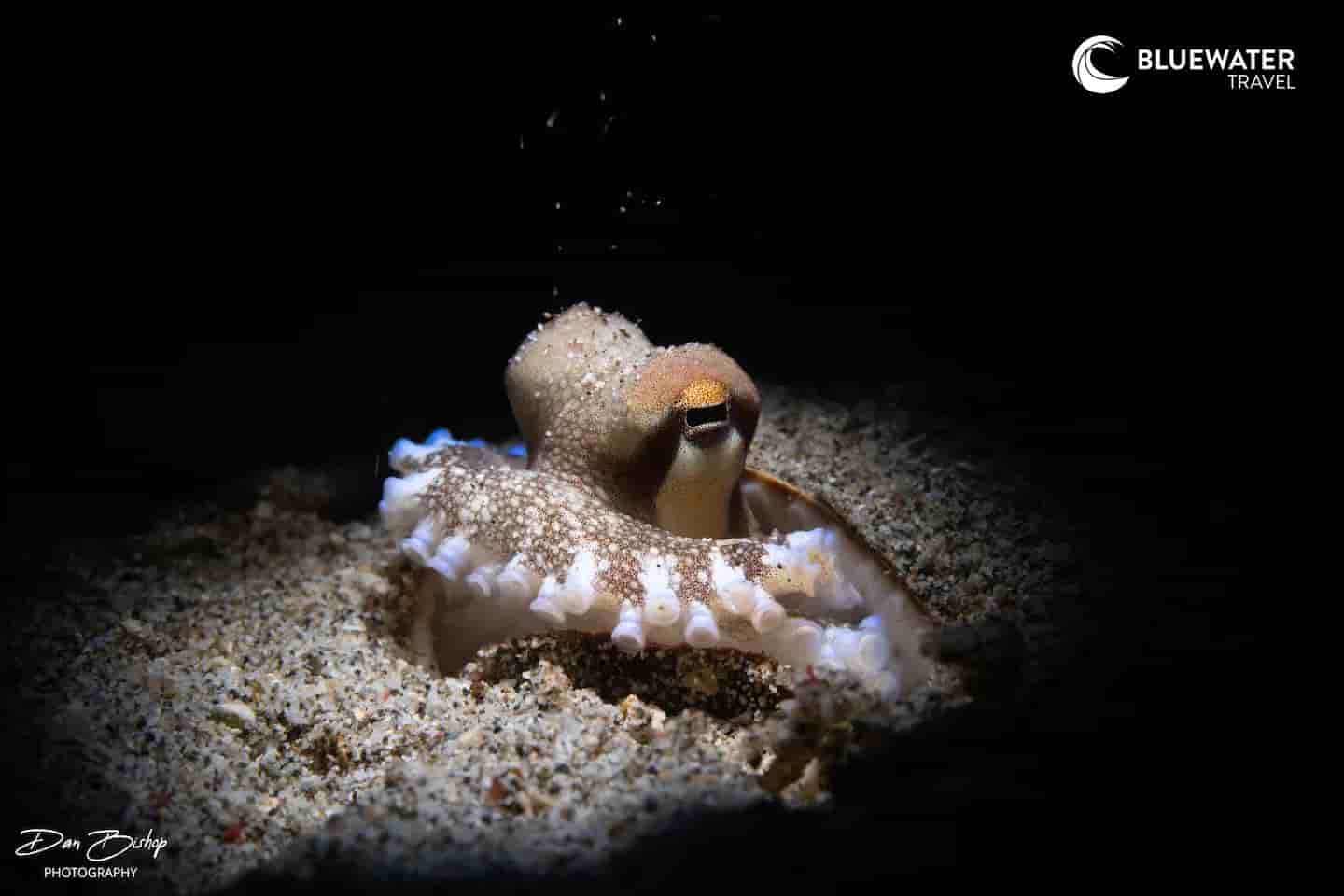 Thumbnail 4 Thumbnail 4