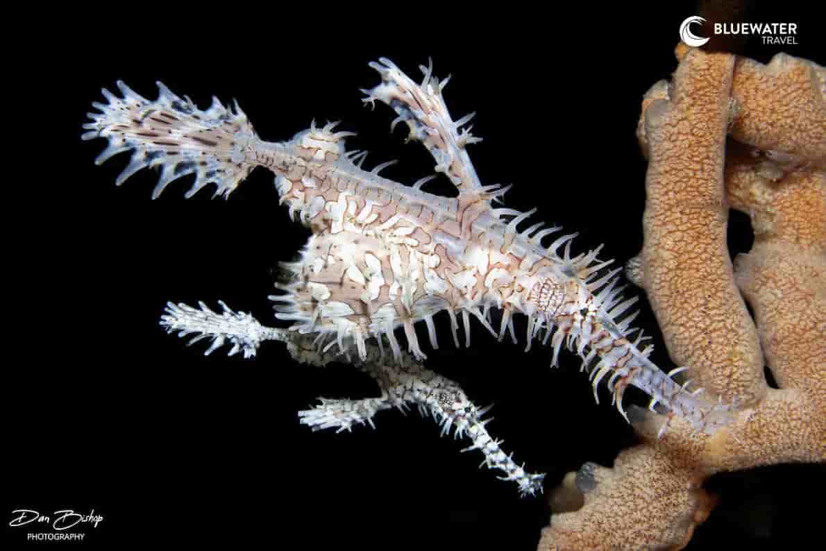 Thumbnail 6 Thumbnail 6