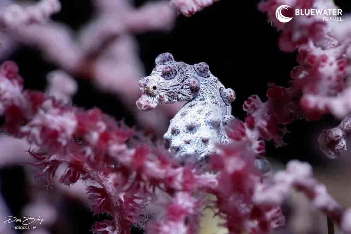 Thumbnail 5 Thumbnail 5