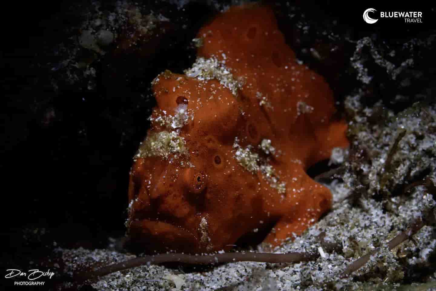 Thumbnail 6 Thumbnail 6