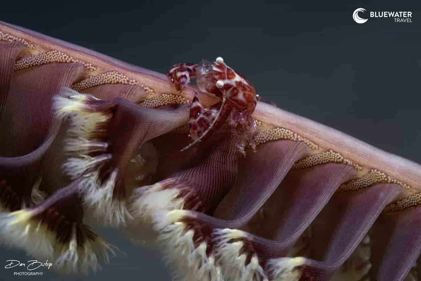 Thumbnail 8 Thumbnail 8