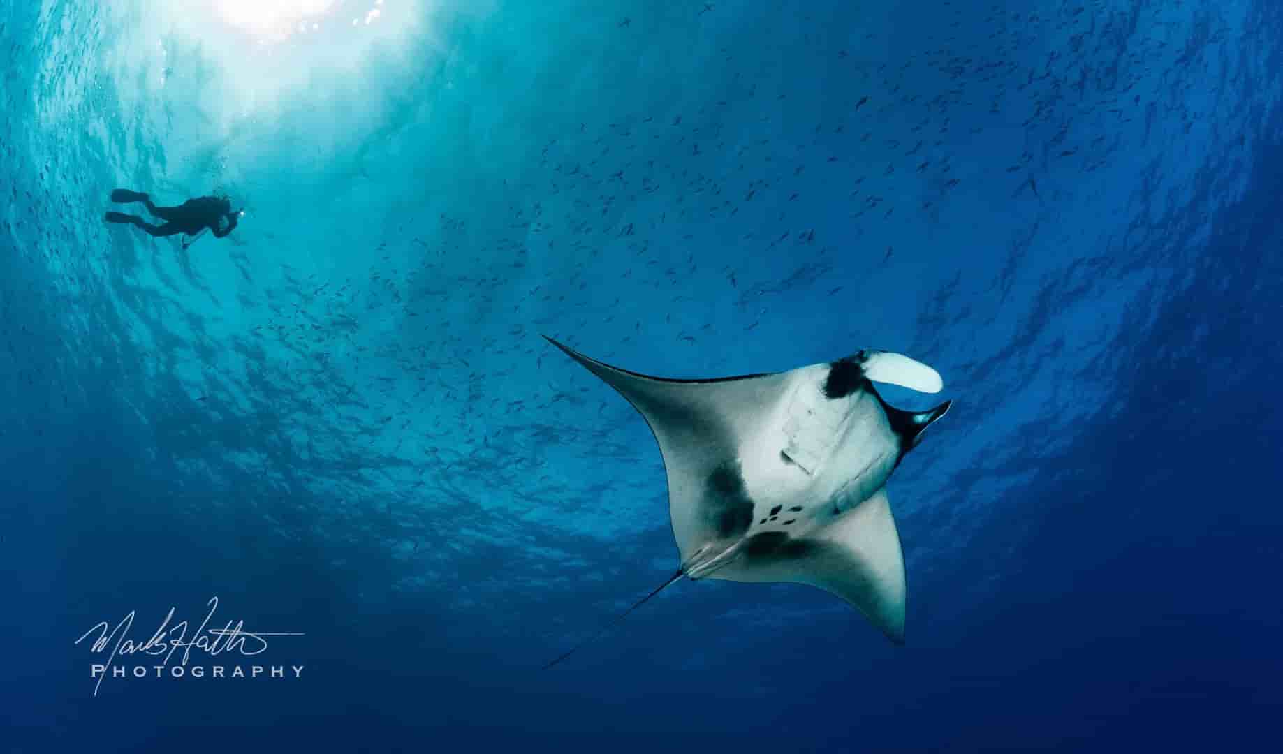 Thumbnail 8 Thumbnail 8