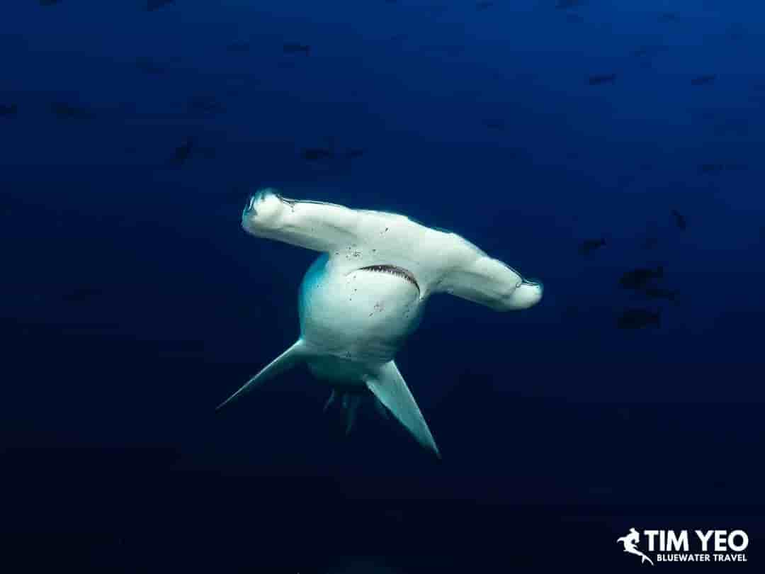 Thumbnail 9 Thumbnail 9