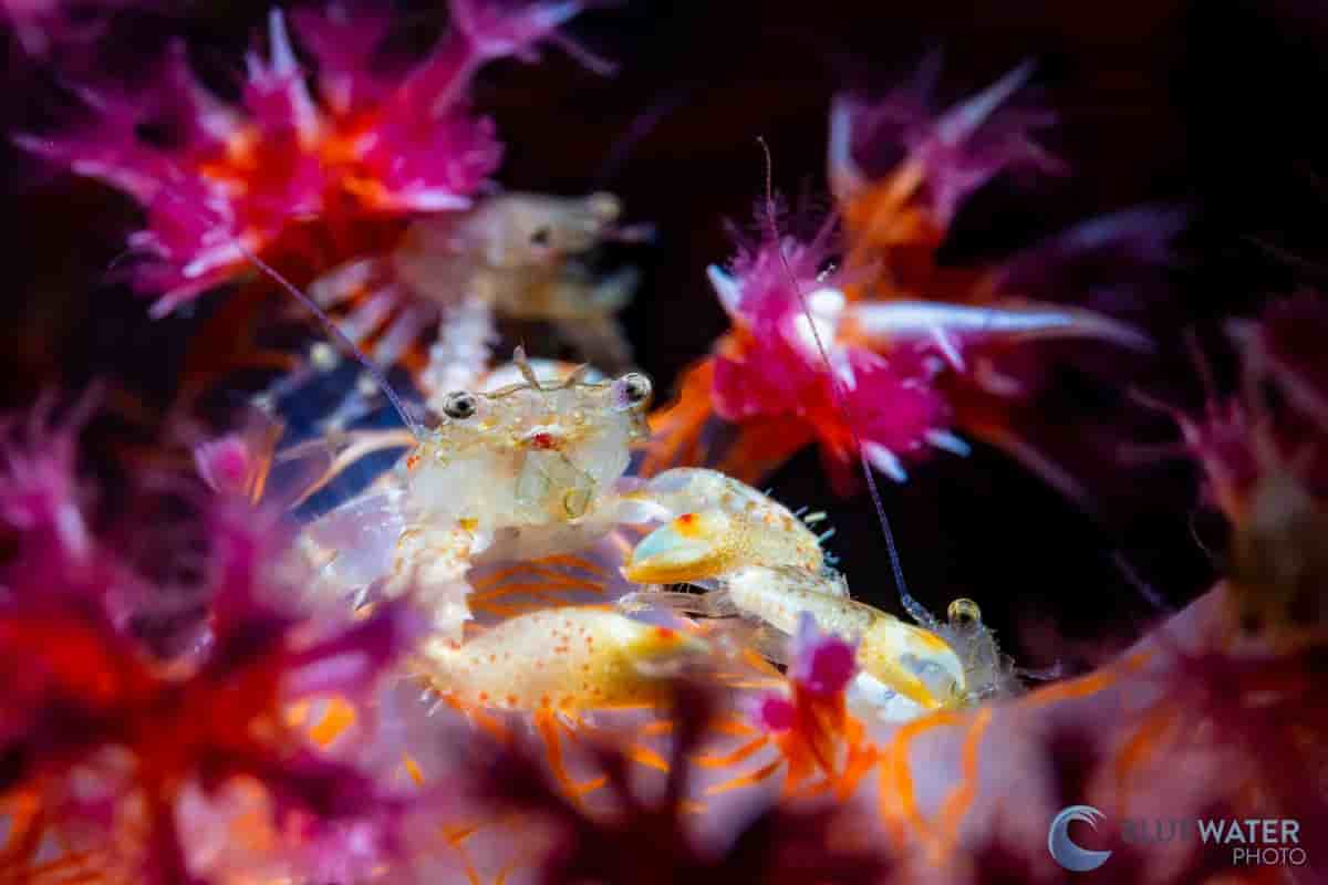 Thumbnail 2 Thumbnail 2