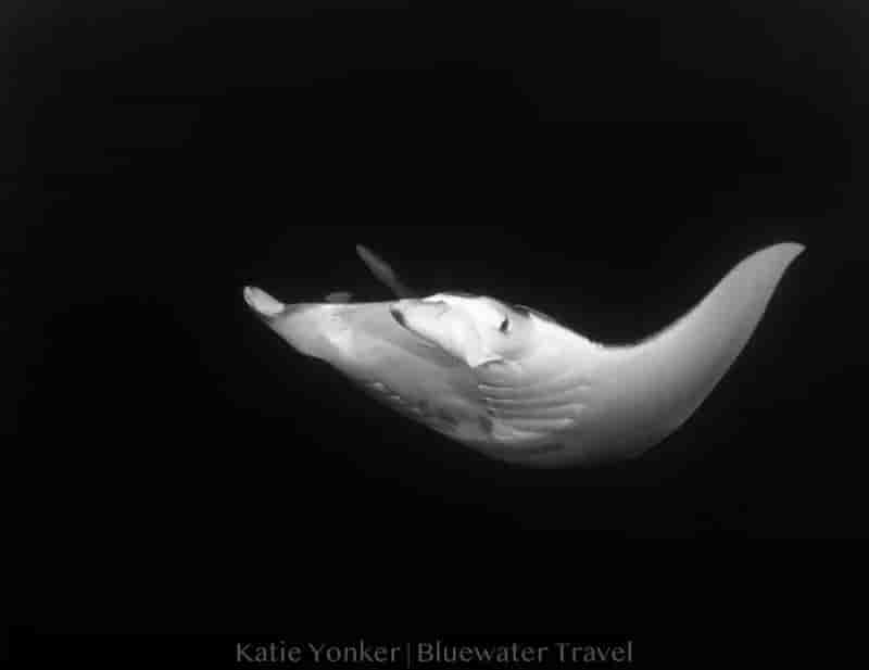 Thumbnail 4 Thumbnail 4