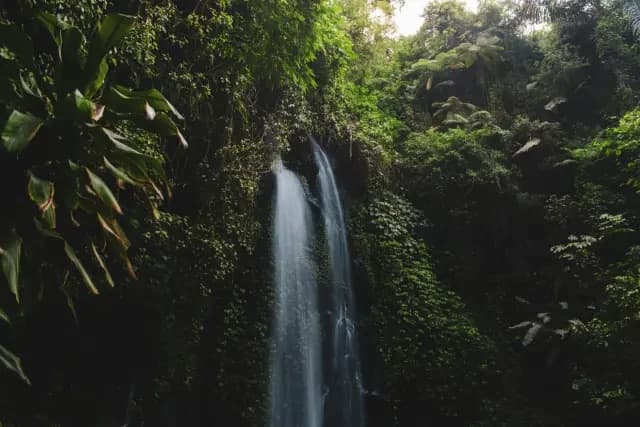 Komodo Trip Extensions Komodo Trip Extensions