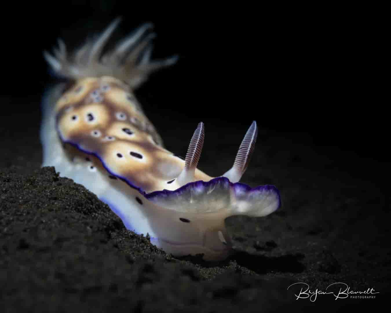 Thumbnail 4 Thumbnail 4