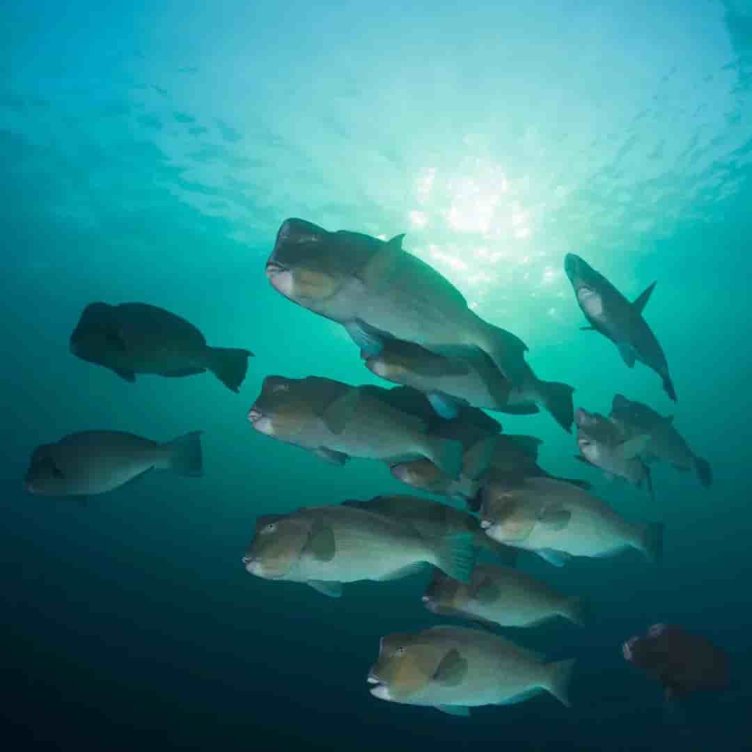 Thumbnail 2 Thumbnail 2