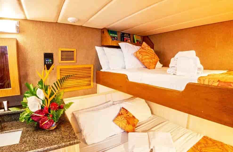 Thumbnail 9 Thumbnail 9