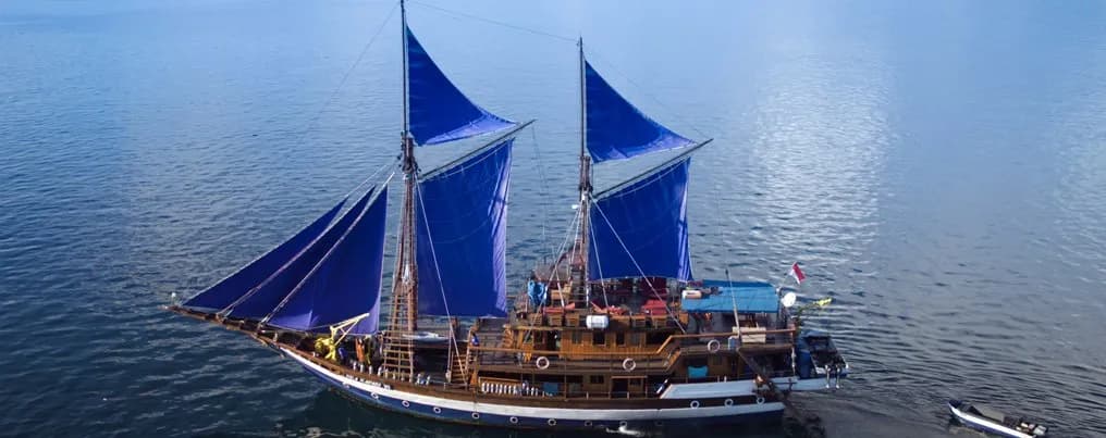 Sea Safari VI - image Sea Safari VI - image