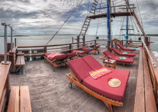 Sea Safari VI Sea Safari VI