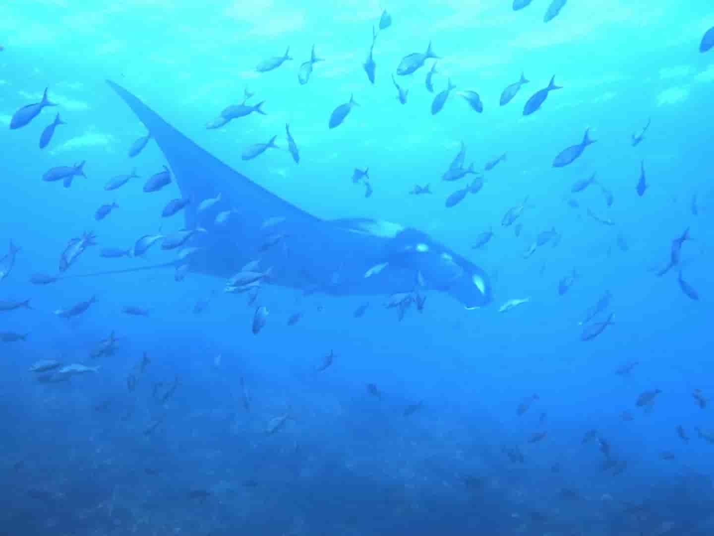 Thumbnail 1 Thumbnail 1