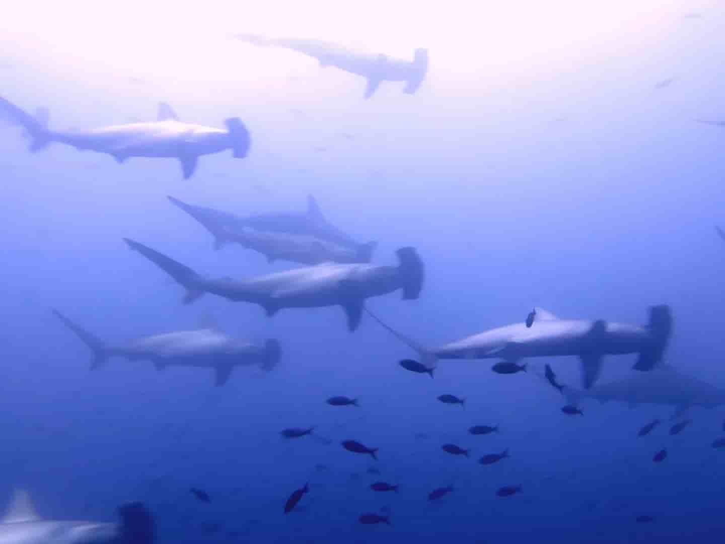 Thumbnail 2 Thumbnail 2