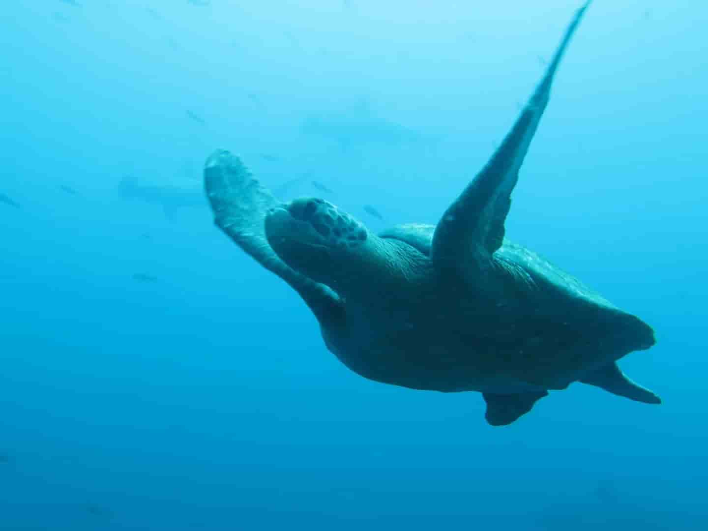 Thumbnail 5 Thumbnail 5