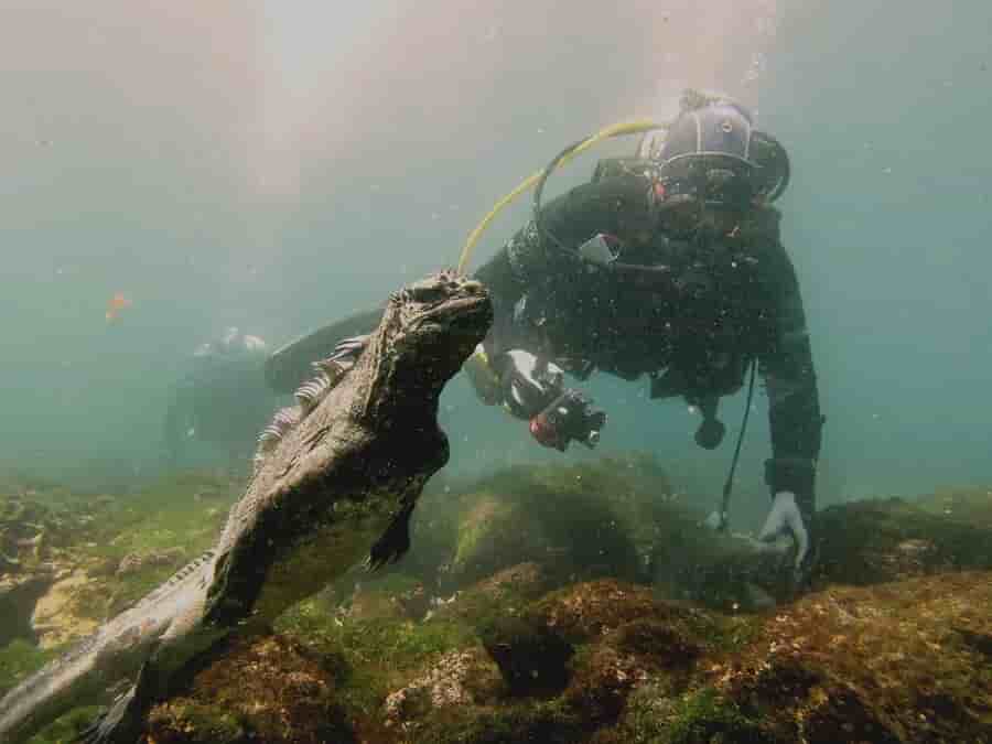 Thumbnail 6 Thumbnail 6