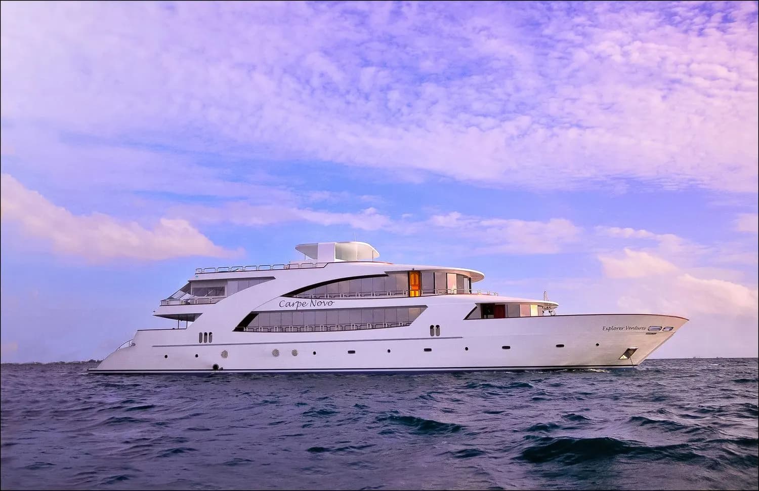 Carpe Novo - image Carpe Novo - image