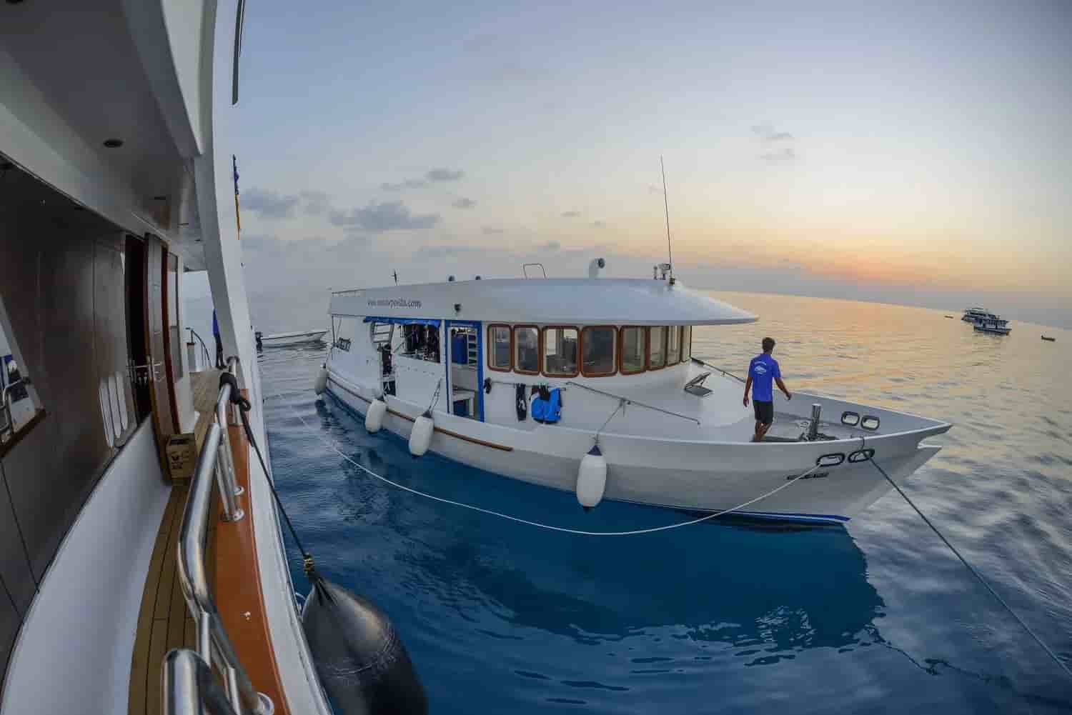 Thumbnail 20 Thumbnail 20