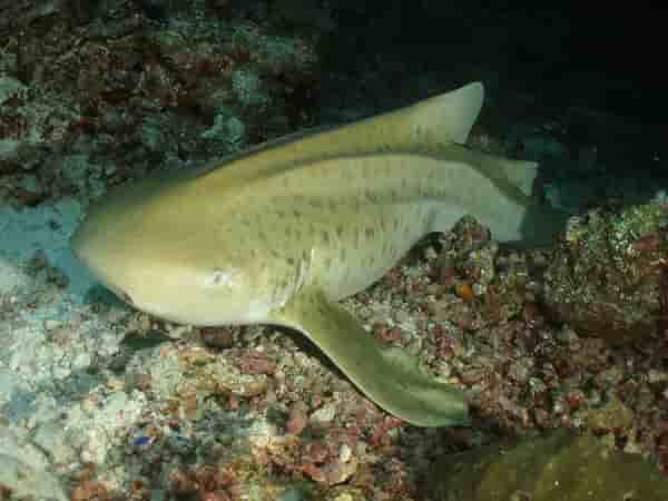 Thumbnail 2 Thumbnail 2