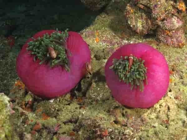 Thumbnail 4 Thumbnail 4