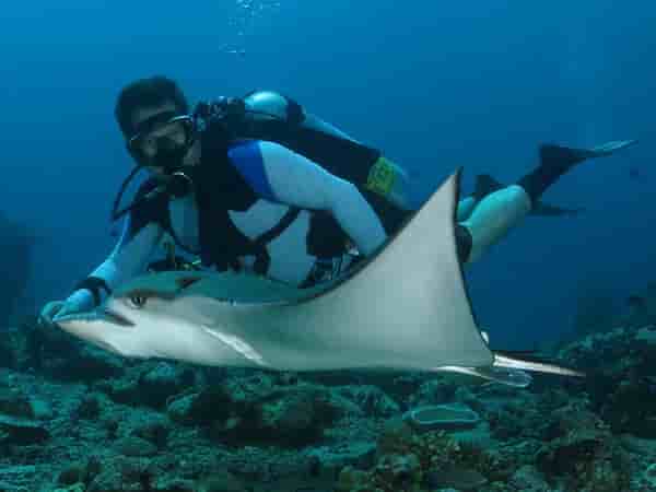 Thumbnail 5 Thumbnail 5