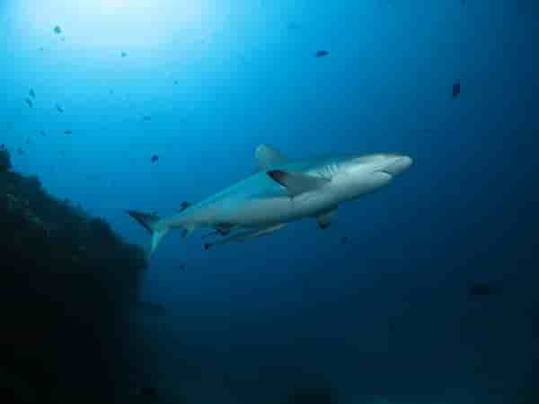 Thumbnail 6 Thumbnail 6