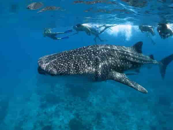 Thumbnail 8 Thumbnail 8