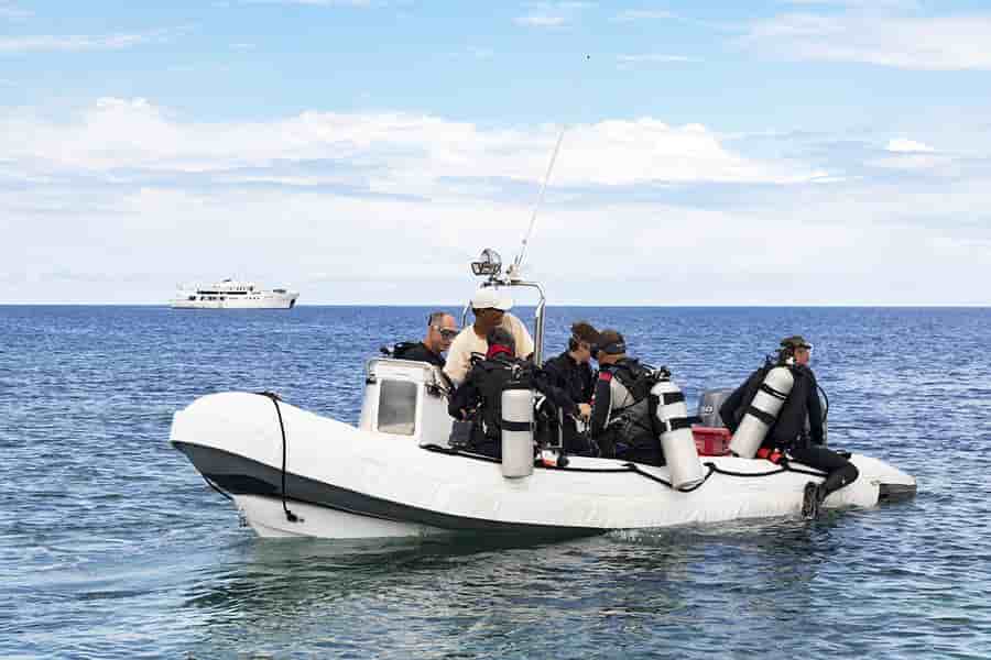 Thumbnail 4 Thumbnail 4