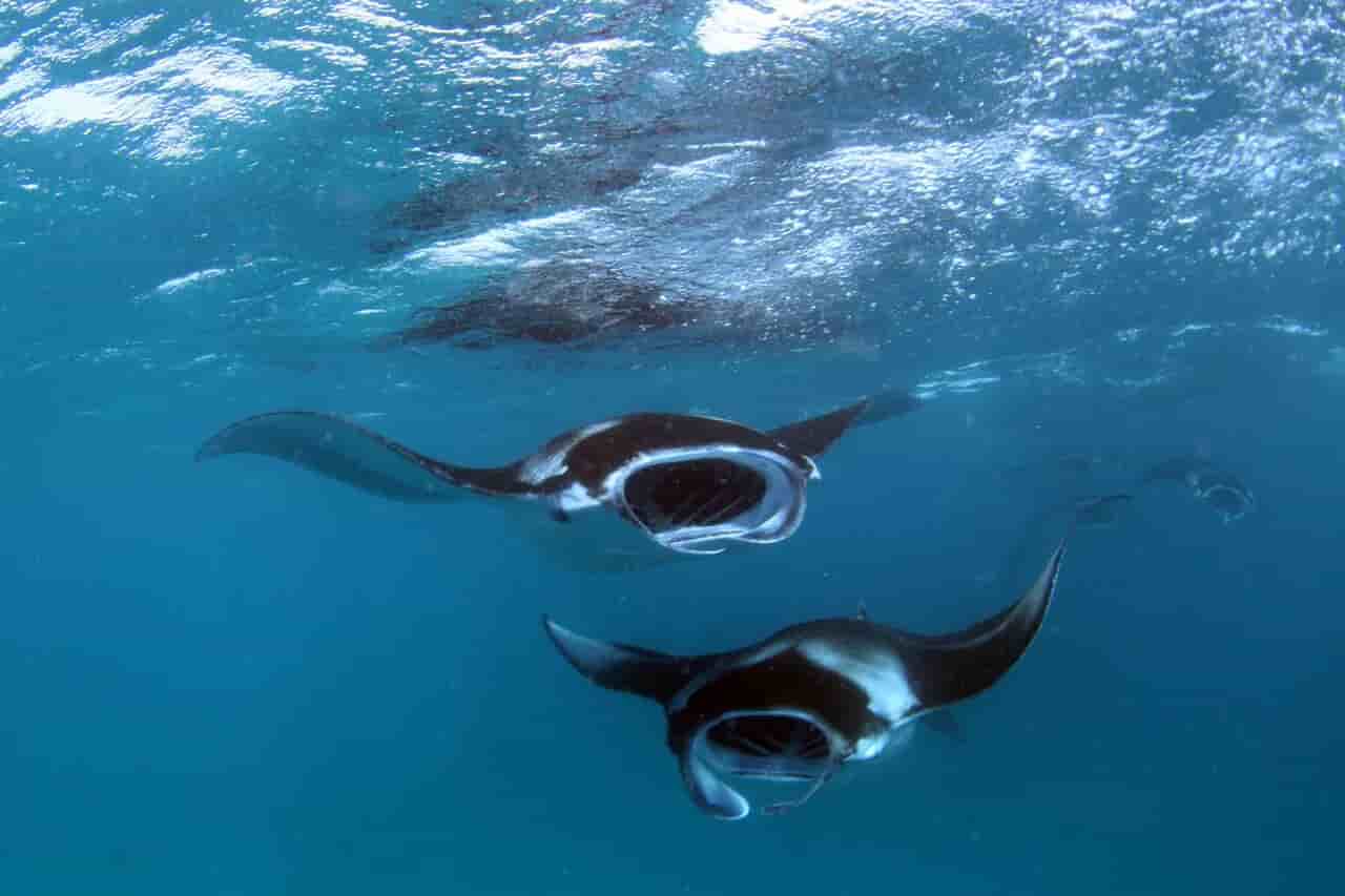 Thumbnail 2 Thumbnail 2