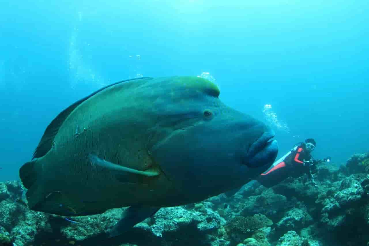 Thumbnail 3 Thumbnail 3