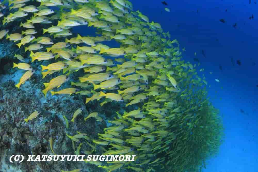 Thumbnail 4 Thumbnail 4