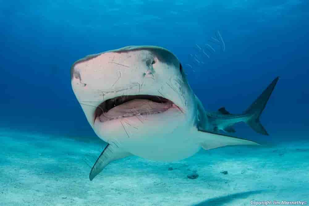 Thumbnail 2 Thumbnail 2