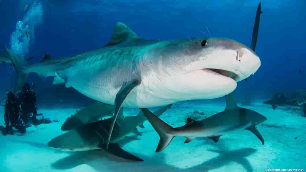 Thumbnail 3 Thumbnail 3