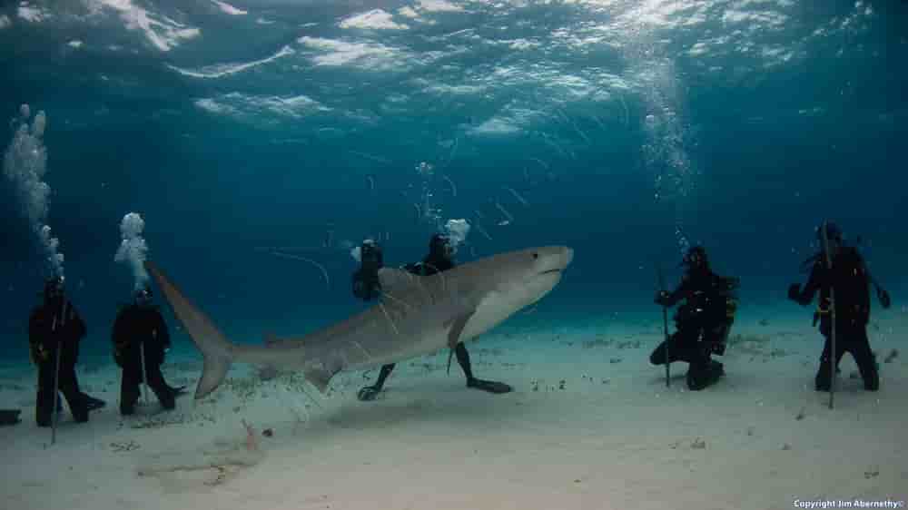 Thumbnail 5 Thumbnail 5