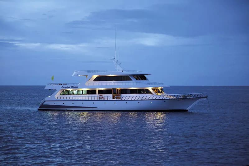 Conte Max - image Conte Max - image