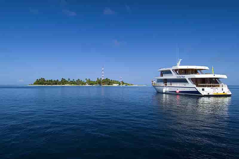 Thumbnail 11 Thumbnail 11