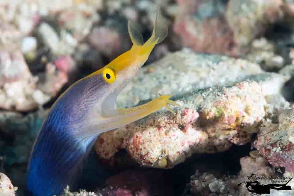 Thumbnail 2 Thumbnail 2