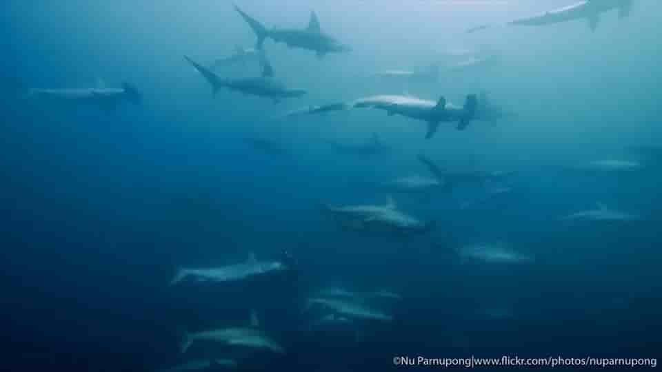 Thumbnail 6 Thumbnail 6