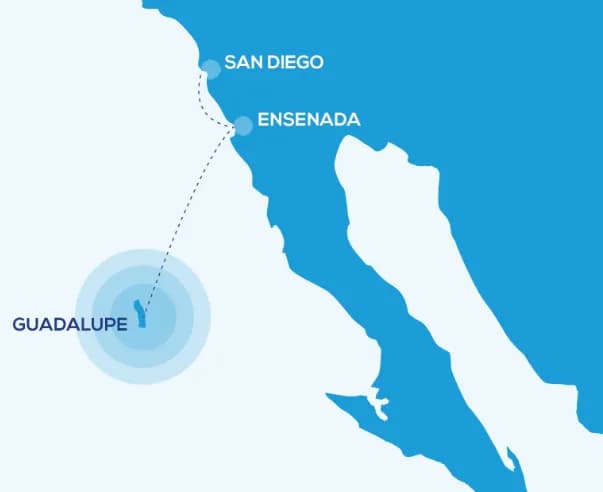 Horizon Charters - image Horizon Charters - image