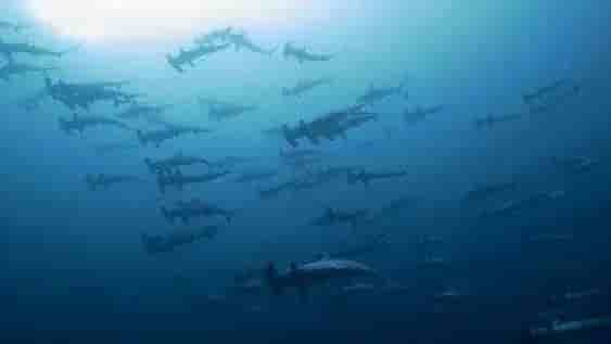 Thumbnail 26 Thumbnail 26