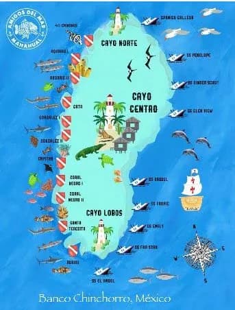 Caribbean Kraken Liveaboard - image Caribbean Kraken Liveaboard - image