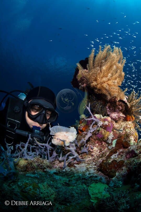 Arenui Liveaboard - image Arenui Liveaboard - image