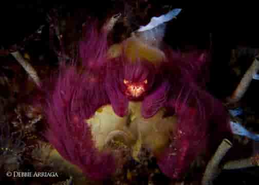 Thumbnail 2 Thumbnail 2